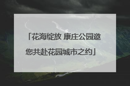 花海绽放 康庄公园邀您共赴花园城市之约
