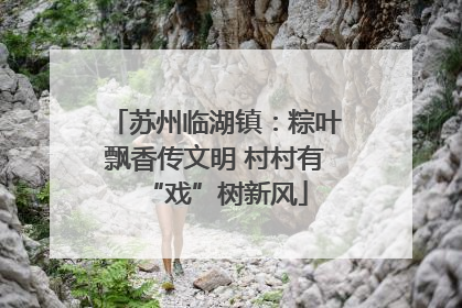 苏州临湖镇：粽叶飘香传文明 村村有“戏”树新风
