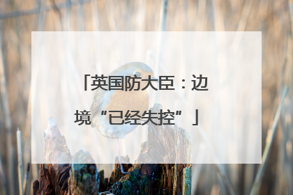 英国防大臣：边境“已经失控”