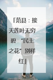 范县：接天莲叶无穷碧 “民主之花”别样红
