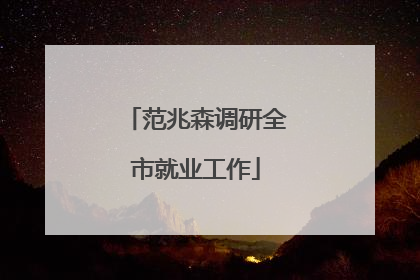范兆森调研全市就业工作