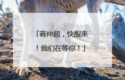 蒋仲超，快醒来！我们在等你！