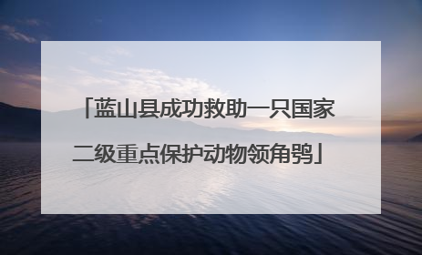 蓝山县成功救助一只国家二级重点保护动物领角鸮