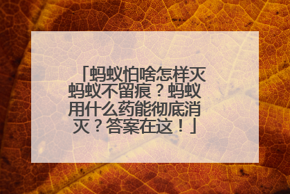 蚂蚁怕啥怎样灭蚂蚁不留痕？蚂蚁用什么药能彻底消灭？答案在这！