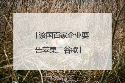 该国百家企业要告苹果、谷歌