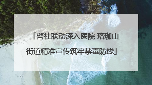 警社联动深入医院 珞珈山街道精准宣传筑牢禁毒防线