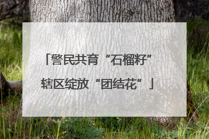 警民共育“石榴籽” 辖区绽放“团结花”