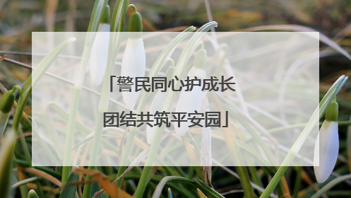 警民同心护成长 团结共筑平安园