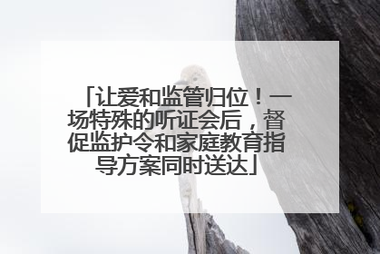 让爱和监管归位！一场特殊的听证会后，督促监护令和家庭教育指导方案同时送达