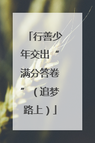 行善少年交出“满分答卷”（追梦路上）