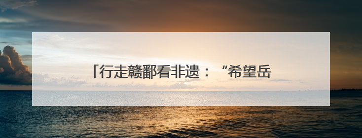 行走赣鄱看非遗：“希望岳家拳的身影遍布大江南北”