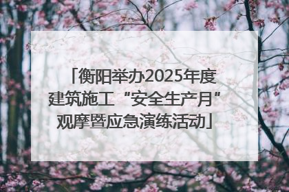 衡阳举办2025年度建筑施工“安全生产月”观摩暨应急演练活动