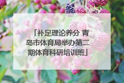 补足理论养分 青岛市体育局举办第二期体育科研培训班