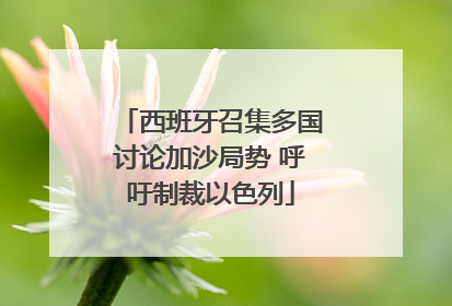 西班牙召集多国讨论加沙局势 呼吁制裁以色列