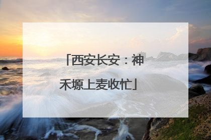 西安长安：神禾塬上麦收忙