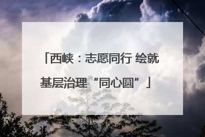 西峡：志愿同行 绘就基层治理“同心圆”