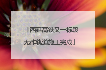 西延高铁又一标段无砟轨道施工完成