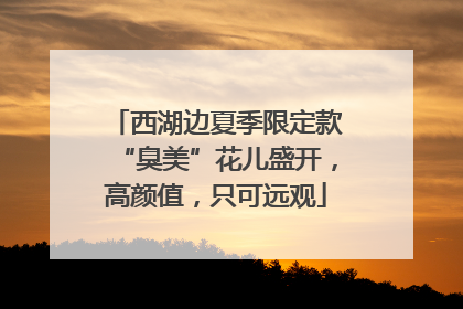 西湖边夏季限定款“臭美”花儿盛开，高颜值，只可远观