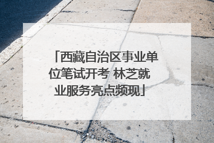 西藏自治区事业单位笔试开考 林芝就业服务亮点频现