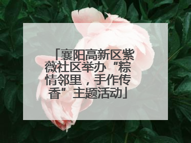 襄阳高新区紫薇社区举办“粽情邻里，手作传香”主题活动