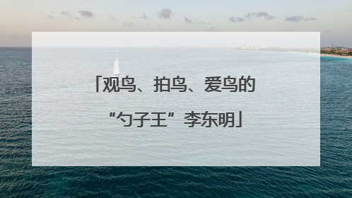 观鸟、拍鸟、爱鸟的“勺子王”李东明