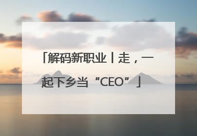 解码新职业丨走，一起下乡当“CEO”