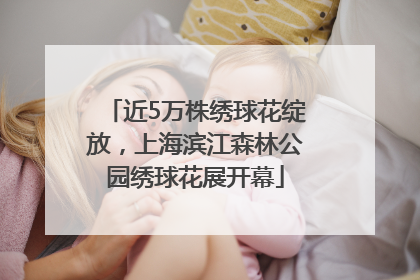 近5万株绣球花绽放，上海滨江森林公园绣球花展开幕