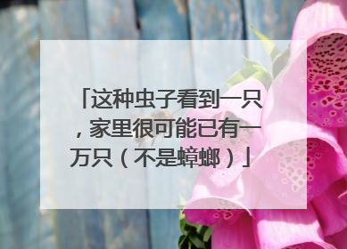 这种虫子看到一只，家里很可能已有一万只（不是蟑螂）