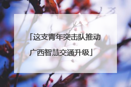 这支青年突击队推动广西智慧交通升级