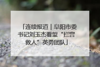 连续报道｜阜阳市委书记刘玉杰看望“拦窨救人”英勇团队