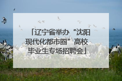 辽宁省举办“沈阳现代化都市圈”高校毕业生专场招聘会