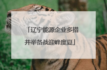 辽宁能源企业多措并举备战迎峰度夏