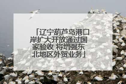 辽宁葫芦岛港口岸扩大开放通过国家验收 将增强东北地区外贸业务