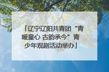 辽宁辽阳共青团“青暖童心 古韵承今”青少年观剧活动举办