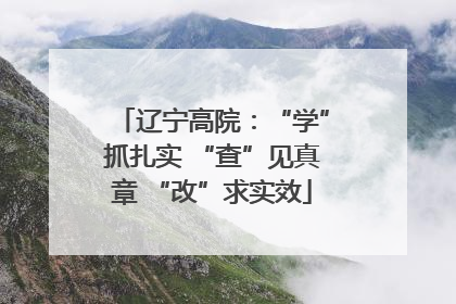 辽宁高院：“学”抓扎实 “查”见真章 “改”求实效