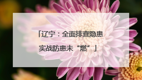 辽宁：全面排查隐患 实战防患未“燃”