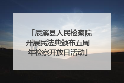 辰溪县人民检察院开展民法典颁布五周年检察开放日活动