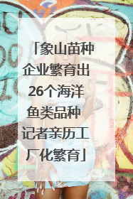 象山苗种企业繁育出26个海洋鱼类品种 记者亲历工厂化繁育