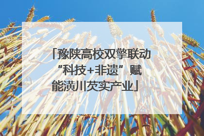 豫陕高校双擎联动 “科技+非遗”赋能潢川芡实产业