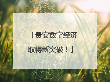 贵安数字经济取得新突破！