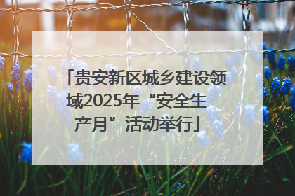 贵安新区城乡建设领域2025年“安全生产月”活动举行