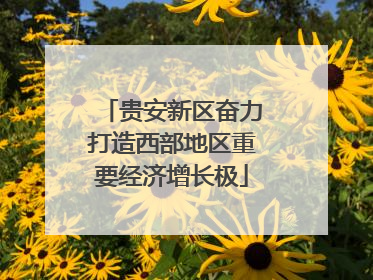 贵安新区奋力打造西部地区重要经济增长极