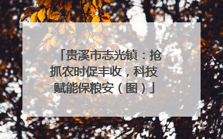 贵溪市志光镇：抢抓农时促丰收，科技赋能保粮安（图）
