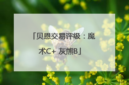 贝恩交易评级：魔术C+ 灰熊B