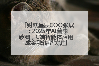 财跃星辰COO张展：2025年AI普惠破圈，C端智能体应用成金融转型关键