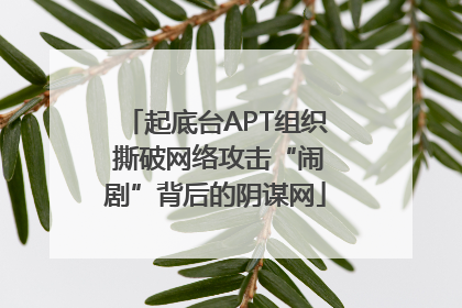 起底台APT组织 撕破网络攻击“闹剧”背后的阴谋网
