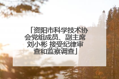 资阳市科学技术协会党组成员、副主席刘小彬 接受纪律审查和监察调查