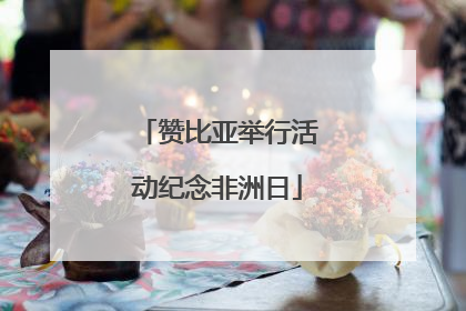赞比亚举行活动纪念非洲日