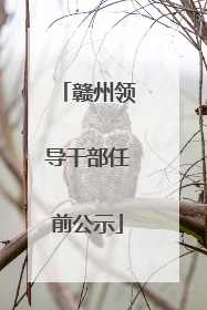 赣州领导干部任前公示