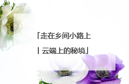 走在乡间小路上丨云端上的秘境